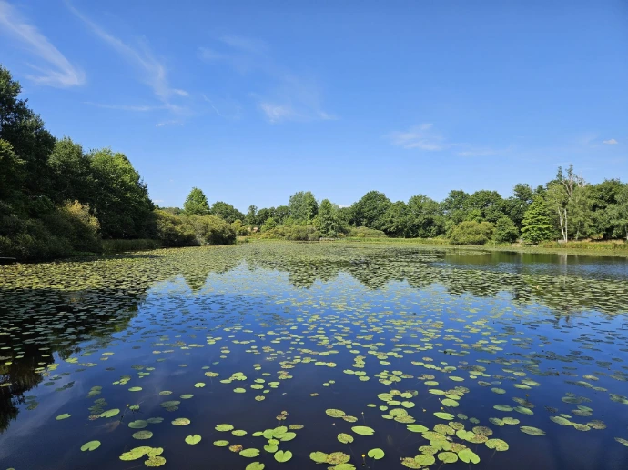 Meren en waterwegen  Water bepaalt het ritme van dit landschap en zorgt voor zowel rust als een stille dramatiek. Het nabijgelegen Lac de Mondon, gelegen in een groene oase, nodigt uit tot rustige wandelingen, momenten van contemplatie en rustige buitenactiviteiten. Het meer staat ook bekend om zijn rijke waterleven, waardoor het een discrete oase is voor visliefhebbers.
