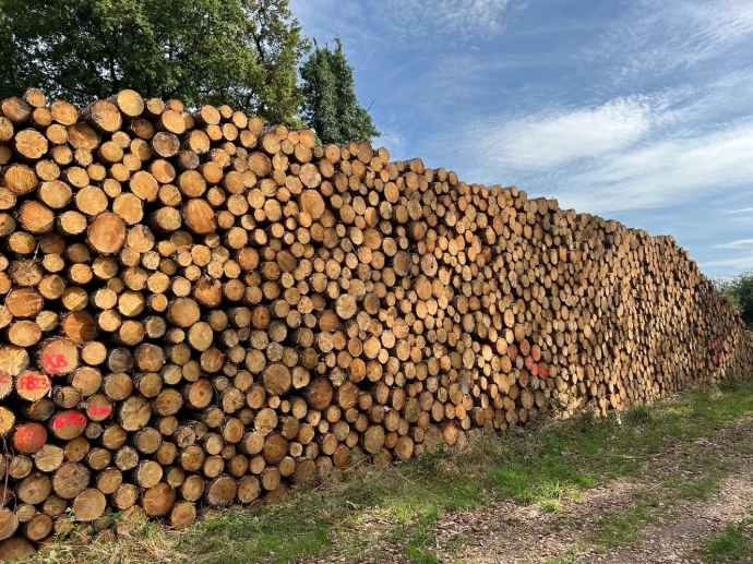 Hout  Bosbouw  Les Cicardières beschikt over ongeveer 500 hectare bos. Deze bossen zijn bijzonder gevarieerd en bestaan onder andere uit dennenbossen, natuurlijke eikenbossen en aanplantingen van Amerikaanse eik. Ze worden zorgvuldig beheerd volgens een meerjarenplan (PSG) en dragen het FSC-label. Elk jaar vinden zowel grotere als kleinere kappen plaats, met als doel de waarde en biodiversiteit van het bos te versterken. Het hout wordt vervolgens per opbod op voet verkocht om het optimaal te valoriseren.  Brandhout  Bij het onderhoud van de prairies en boswegen op het domein worden regelmatig omgevallen bomen aangetroffen. Deze worden in de winter verwerkt tot brandhout, deels voor eigen gebruik en deels voor verkoop. Het hout wordt zorgvuldig getrieerd, gekliefd en gedroogd, en is verkrijgbaar per m³ in bulk of per pallet.