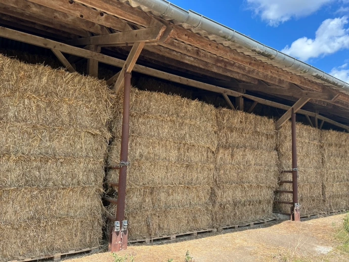 Hooi Les Cicardières is een actief landbouwbedrijf, gespecialiseerd in de productie van hooi. Jaarlijks maaien we meer dan 400 hectare grasland om kwalitatief veevoer te produceren voor paarden, koeien, schapen en geiten. Op vraag van onze klanten zaaien we ook graslanden in met specifieke mengsels, zodat we hooi kunnen leveren dat volledig is afgestemd op hun noden.